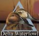 delta_logo.jpg - 2983 Bytes