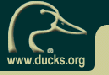 du_logo.gif - 3769 Bytes